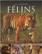 Les grands félins