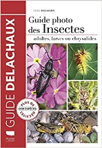 Guide photo des insectes - Adultes, larves ou chrysalides