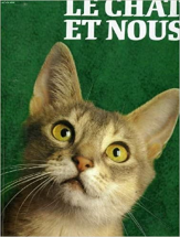 Le chat et nous