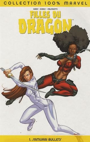 Filles Du Dragon T01