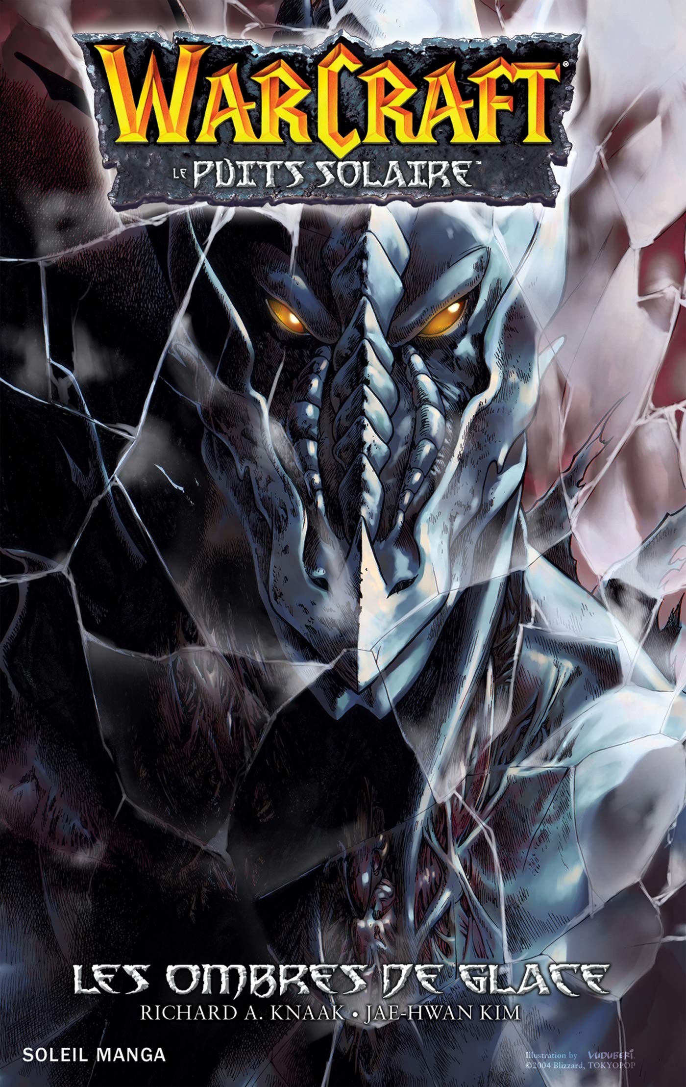Warcraft : Le puits solaire - T2 - Les ombres de glaces