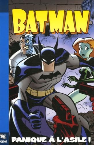Batman - Panique à l'asile !